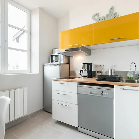 Apartment Loft Scandinave Part Dieu Et Parking