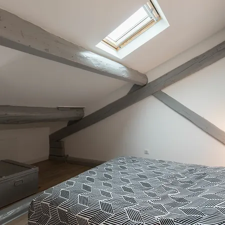 Apartment Loft Scandinave Part Dieu Et Parking *
